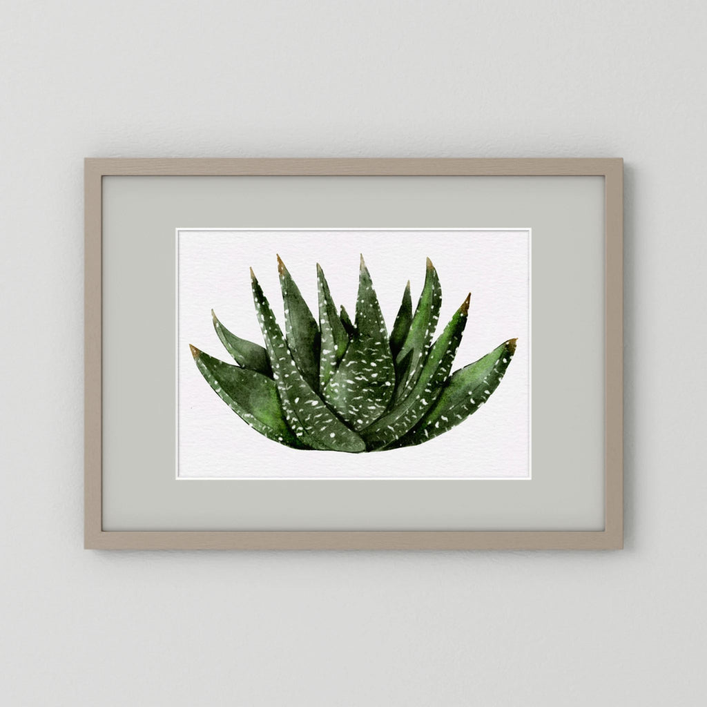 Watercolor Spiky Succulent
