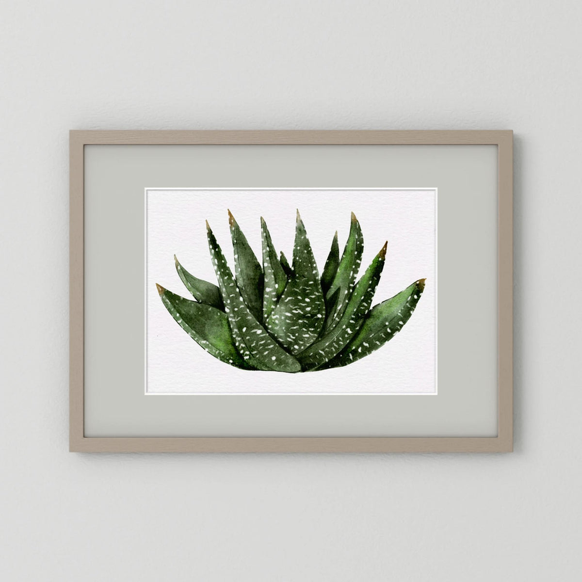 Watercolor Spiky Succulent