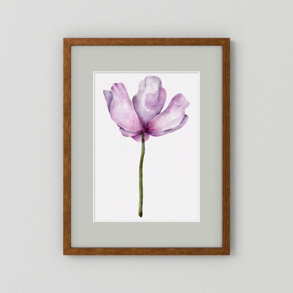 Watercolor Anemone 