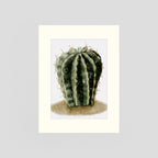 Watercolor Spiky Cactus