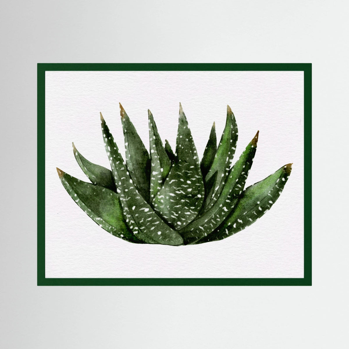 Watercolor Spiky Succulent