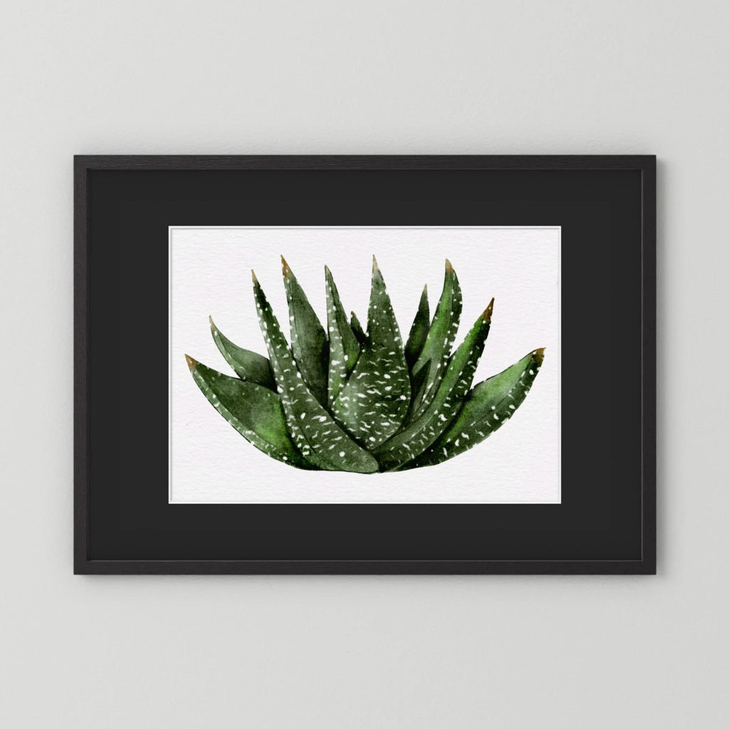 Watercolor Spiky Succulent