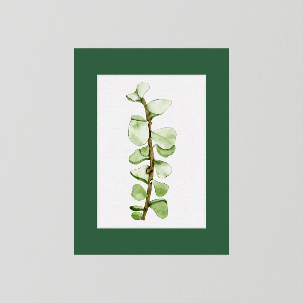 Watercolor Tall Succulent