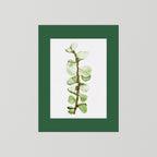 Watercolor Tall Succulent