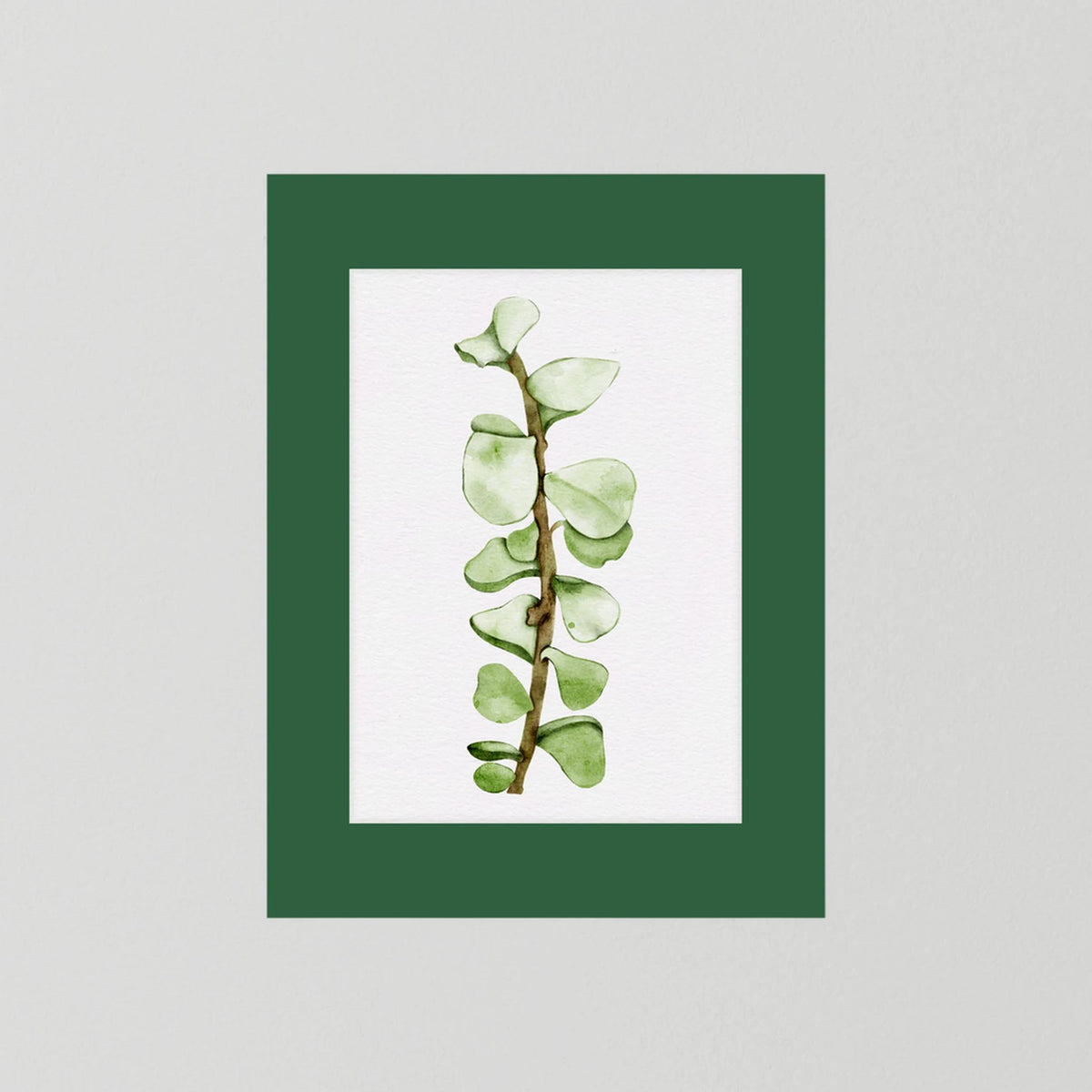 Watercolor Tall Succulent