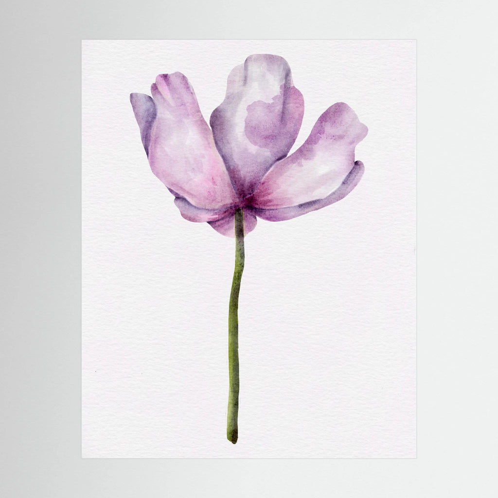 Watercolor Anemone 