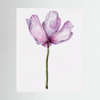 Watercolor Anemone 