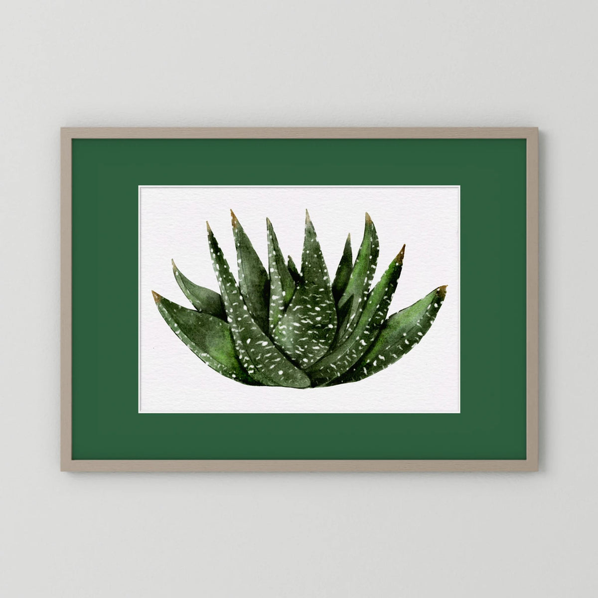 Watercolor Spiky Succulent