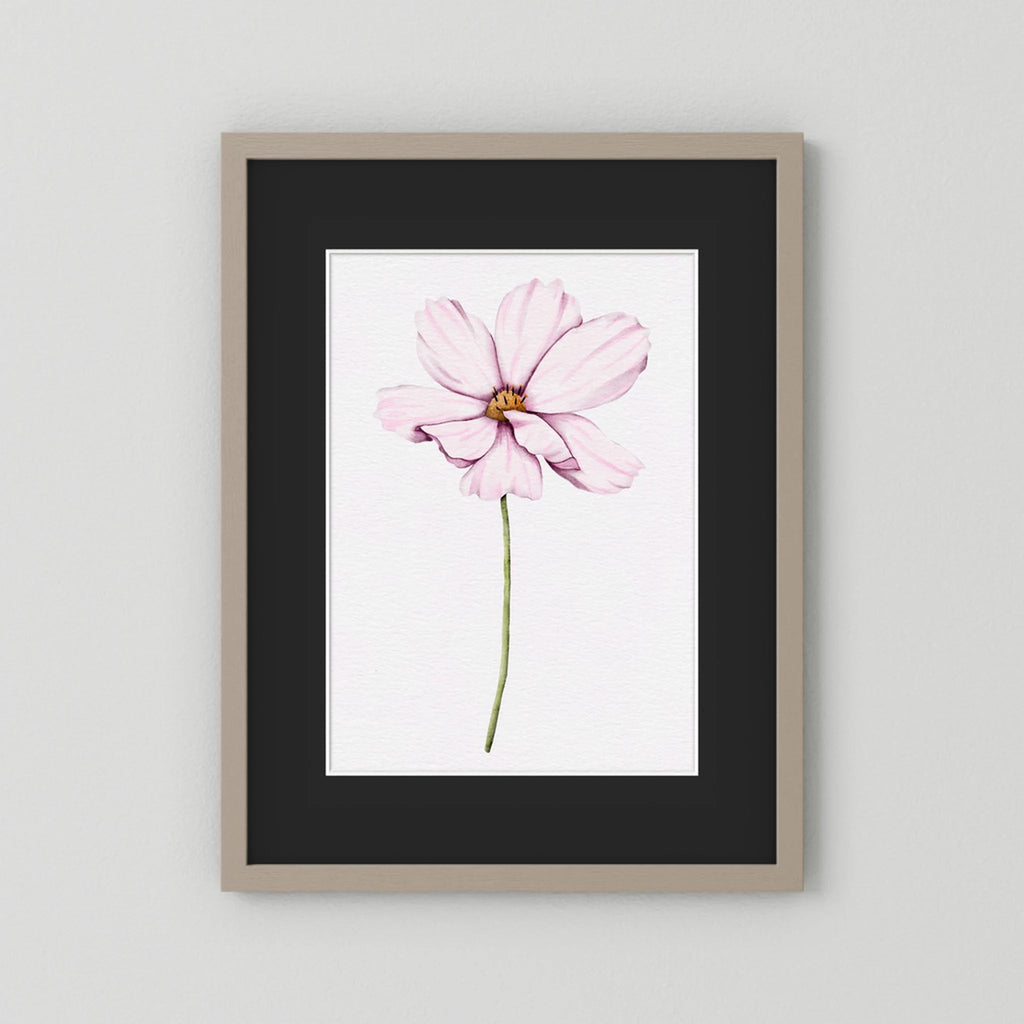 Watercolor Cosmos 