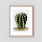 Watercolor Spiky Cactus