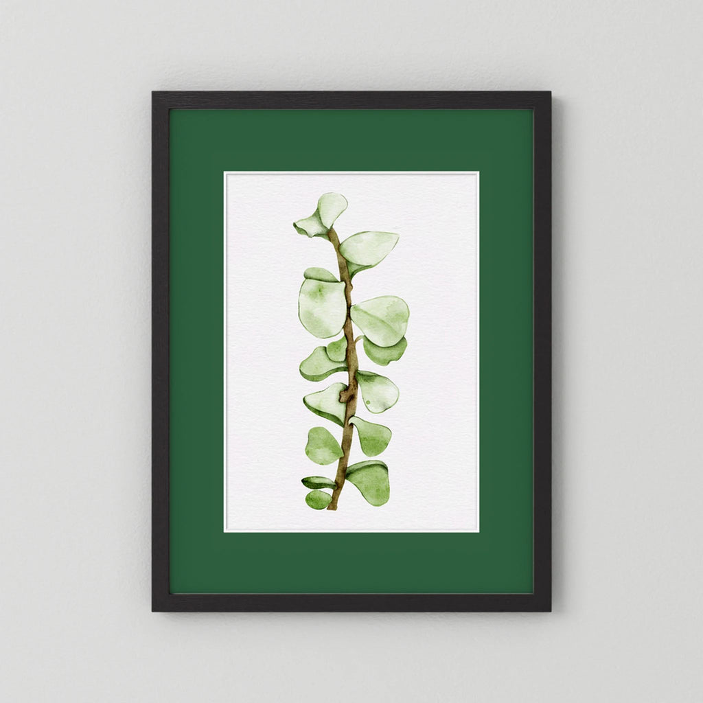 Watercolor Tall Succulent