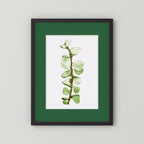 Watercolor Tall Succulent