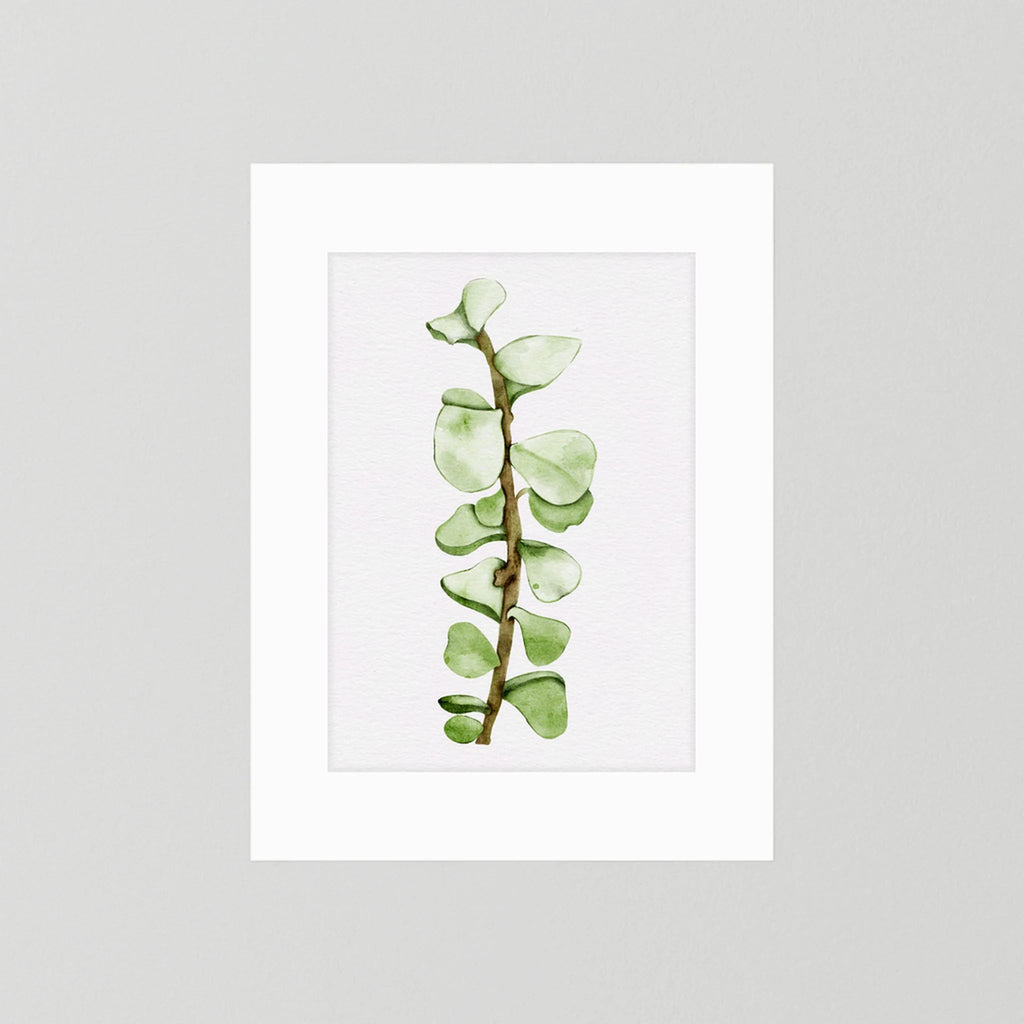 Watercolor Tall Succulent
