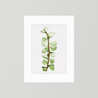 Watercolor Tall Succulent