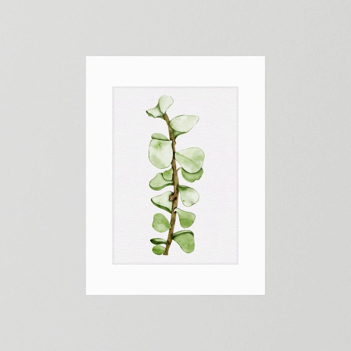 Watercolor Tall Succulent