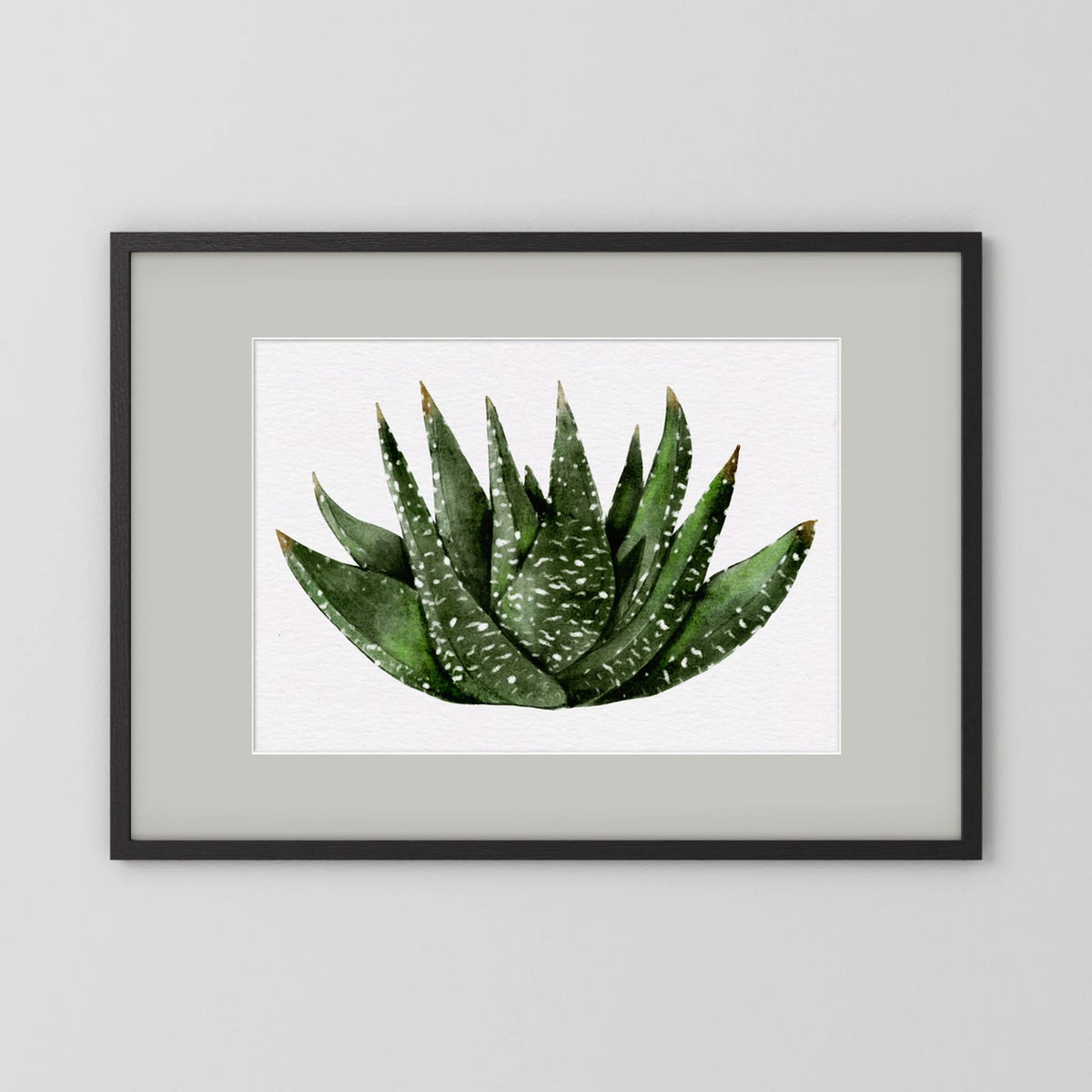 Watercolor Spiky Succulent