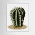 Watercolor Spiky Cactus