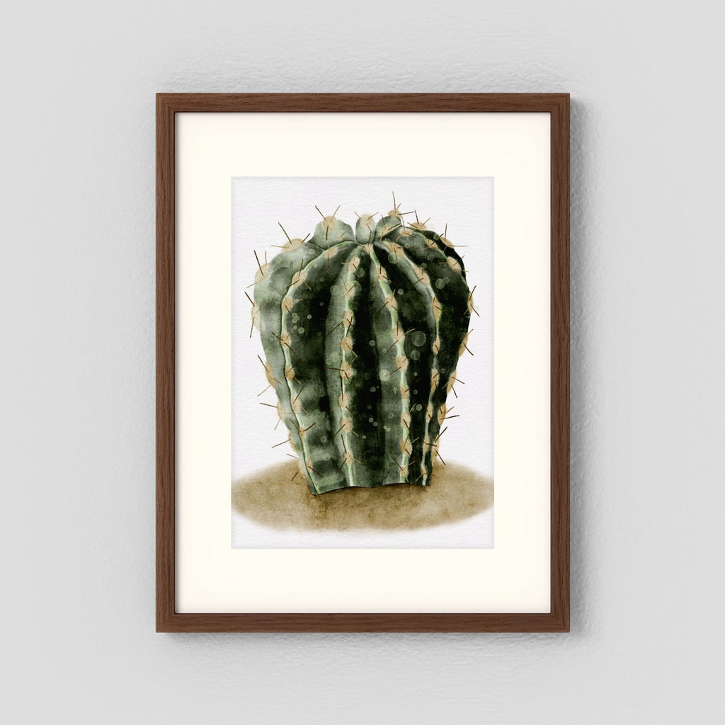 Watercolor Spiky Cactus
