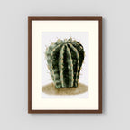 Watercolor Spiky Cactus