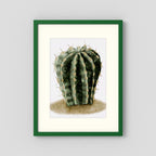Watercolor Spiky Cactus