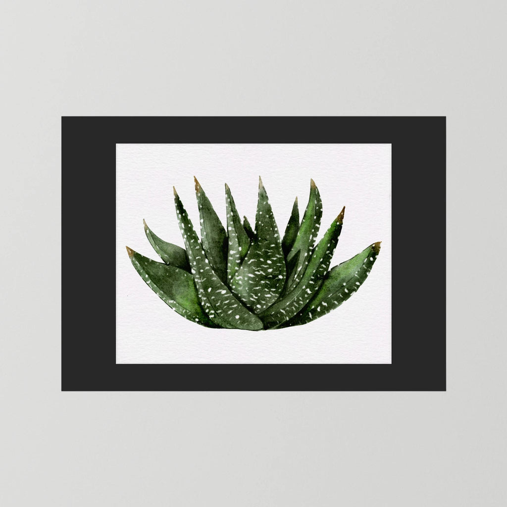 Watercolor Spiky Succulent