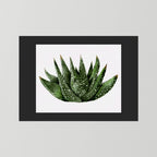 Watercolor Spiky Succulent