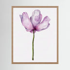 Watercolor Anemone 