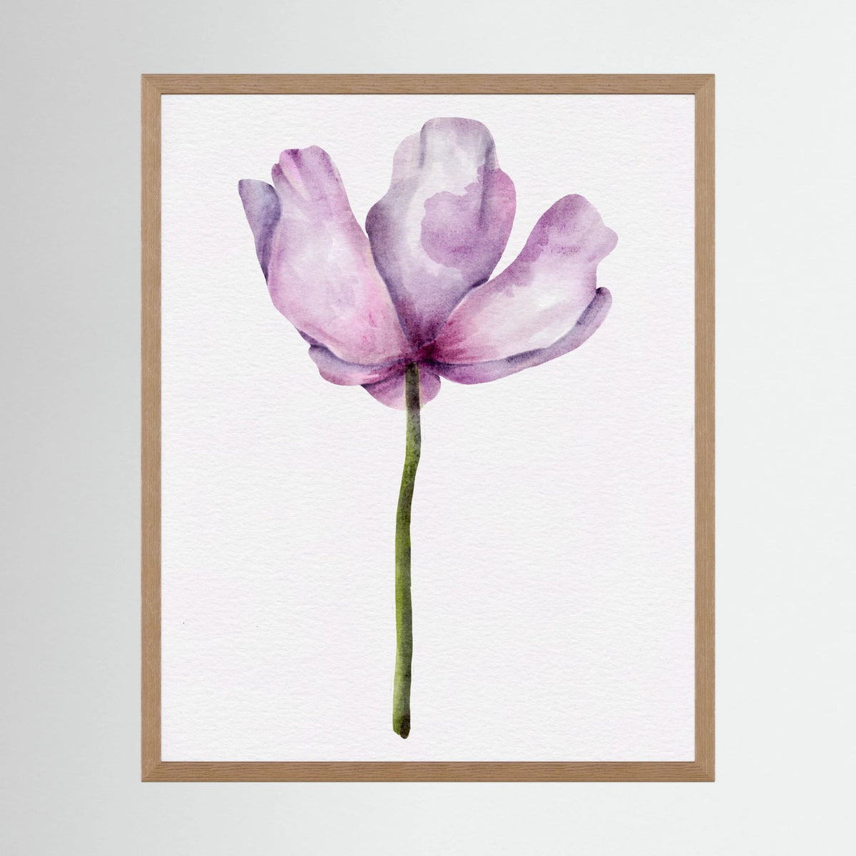 Watercolor Anemone 