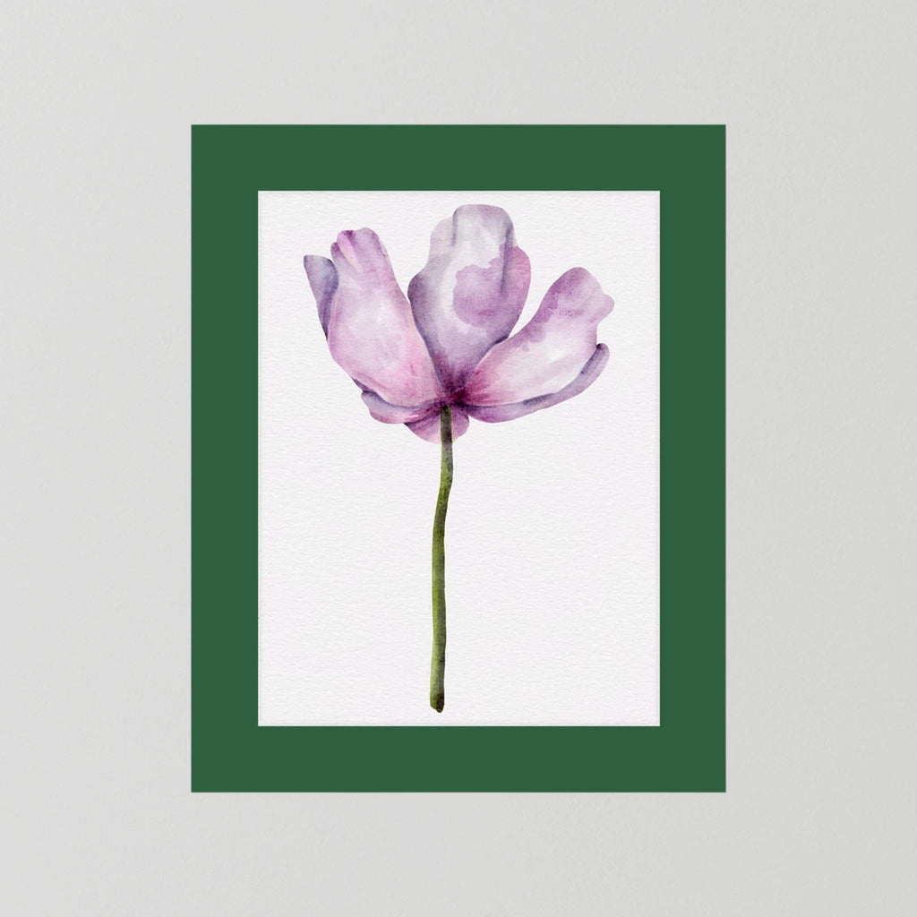 Watercolor Anemone 