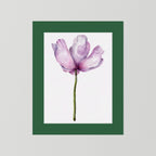 Watercolor Anemone 