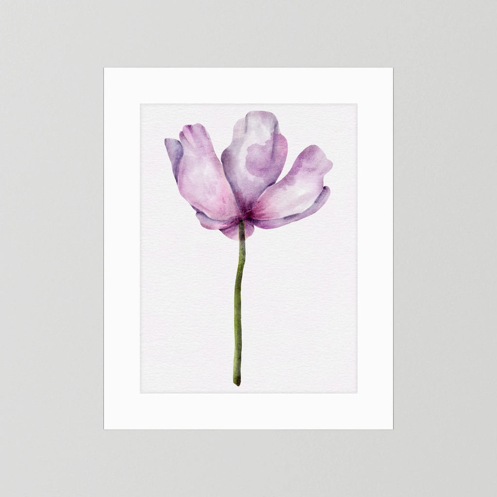 Watercolor Anemone 