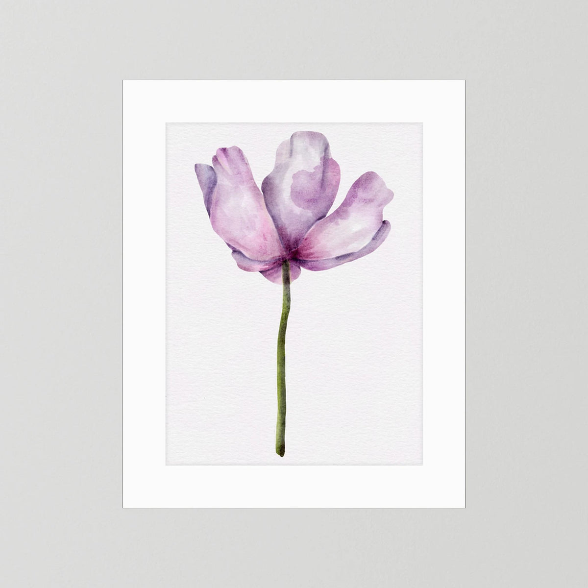 Watercolor Anemone 