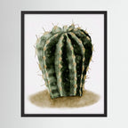 Watercolor Spiky Cactus