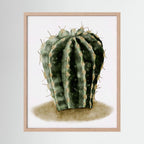 Watercolor Spiky Cactus