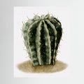Watercolor Spiky Cactus