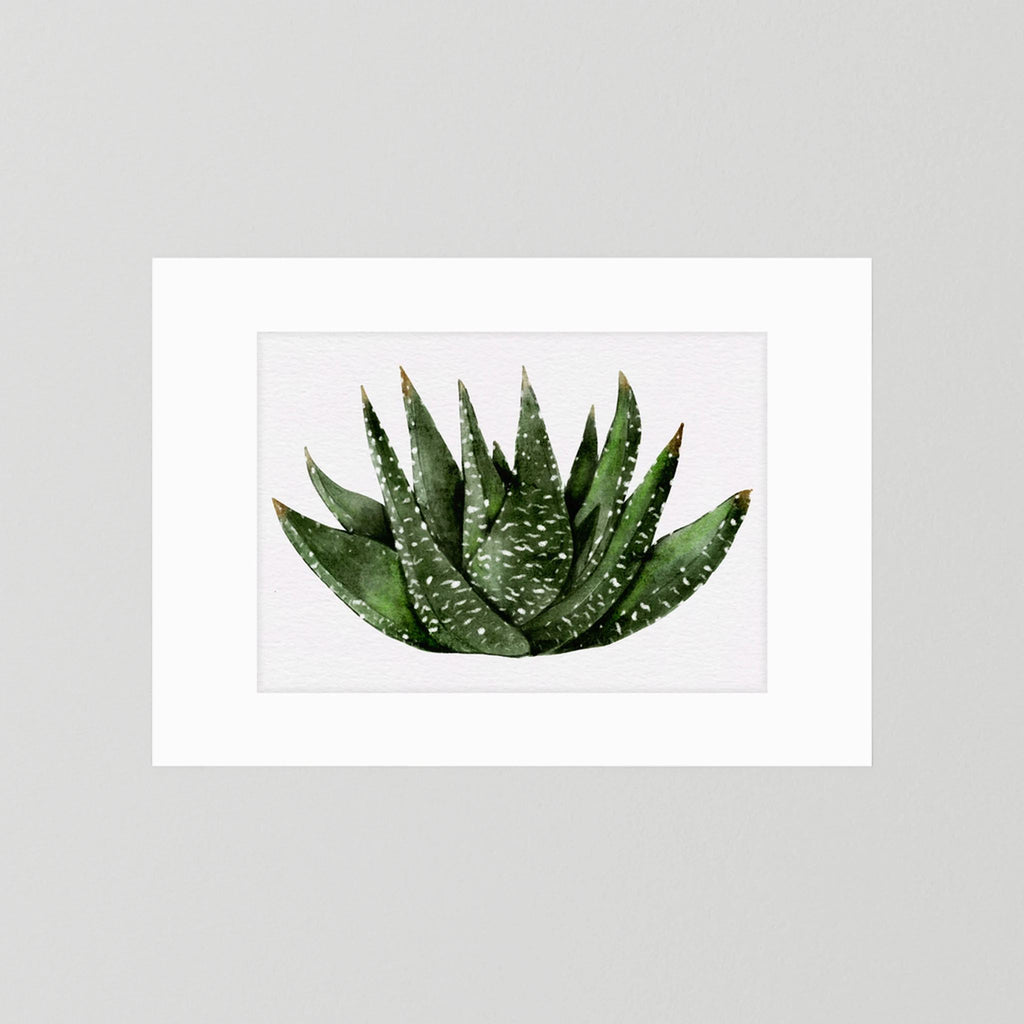 Watercolor Spiky Succulent