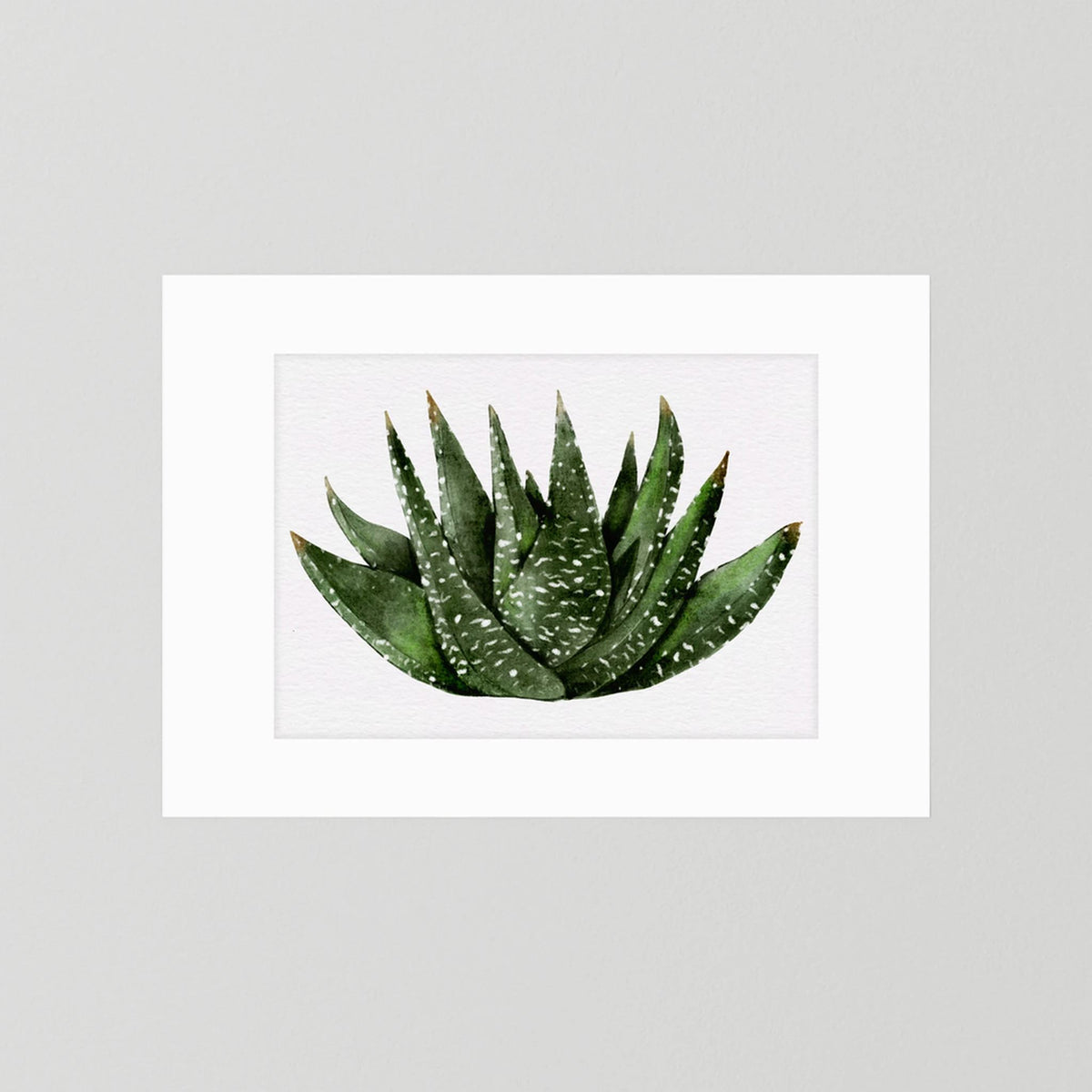 Watercolor Spiky Succulent