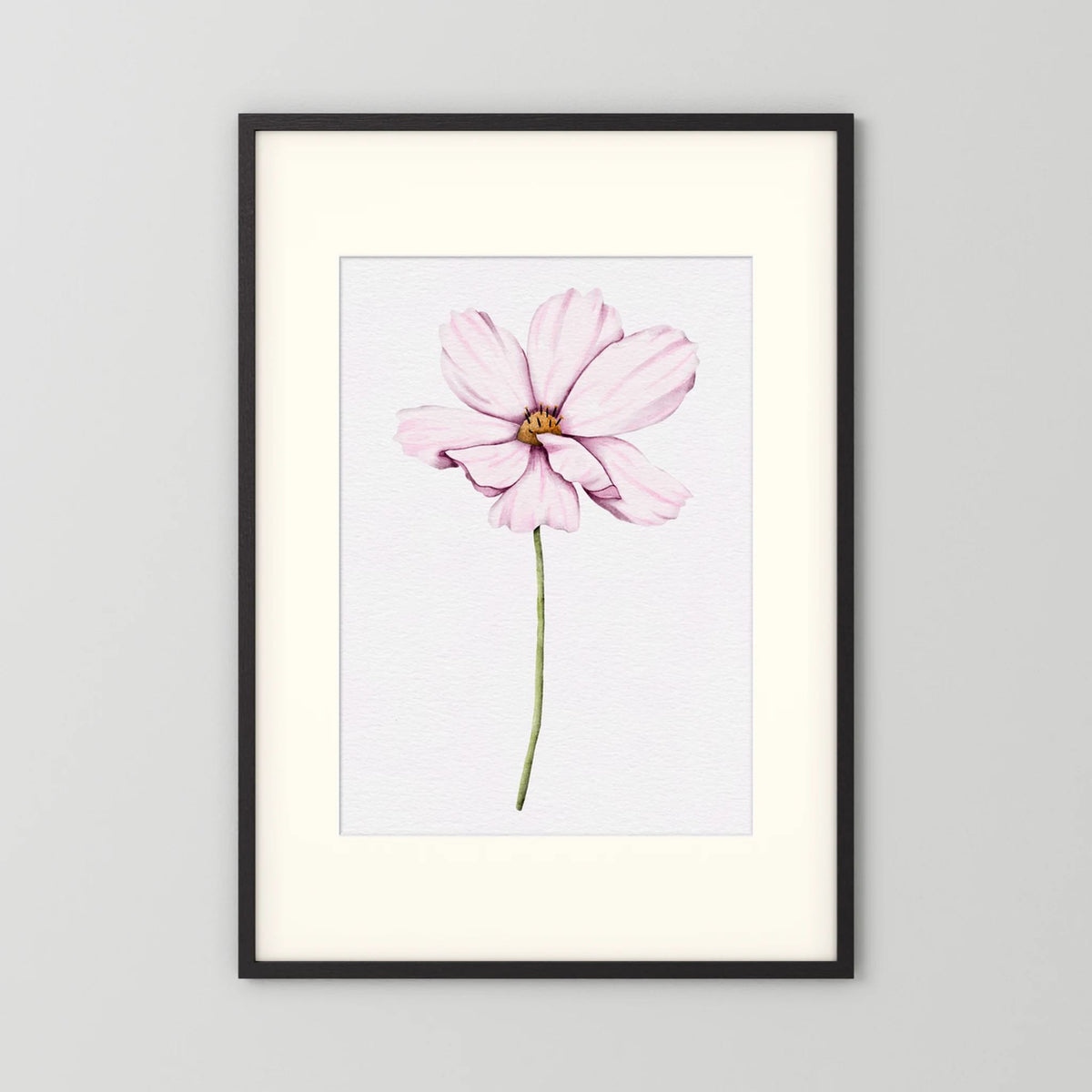Watercolor Cosmos 