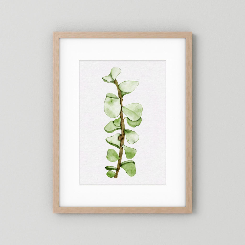 Watercolor Tall Succulent