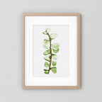 Watercolor Tall Succulent