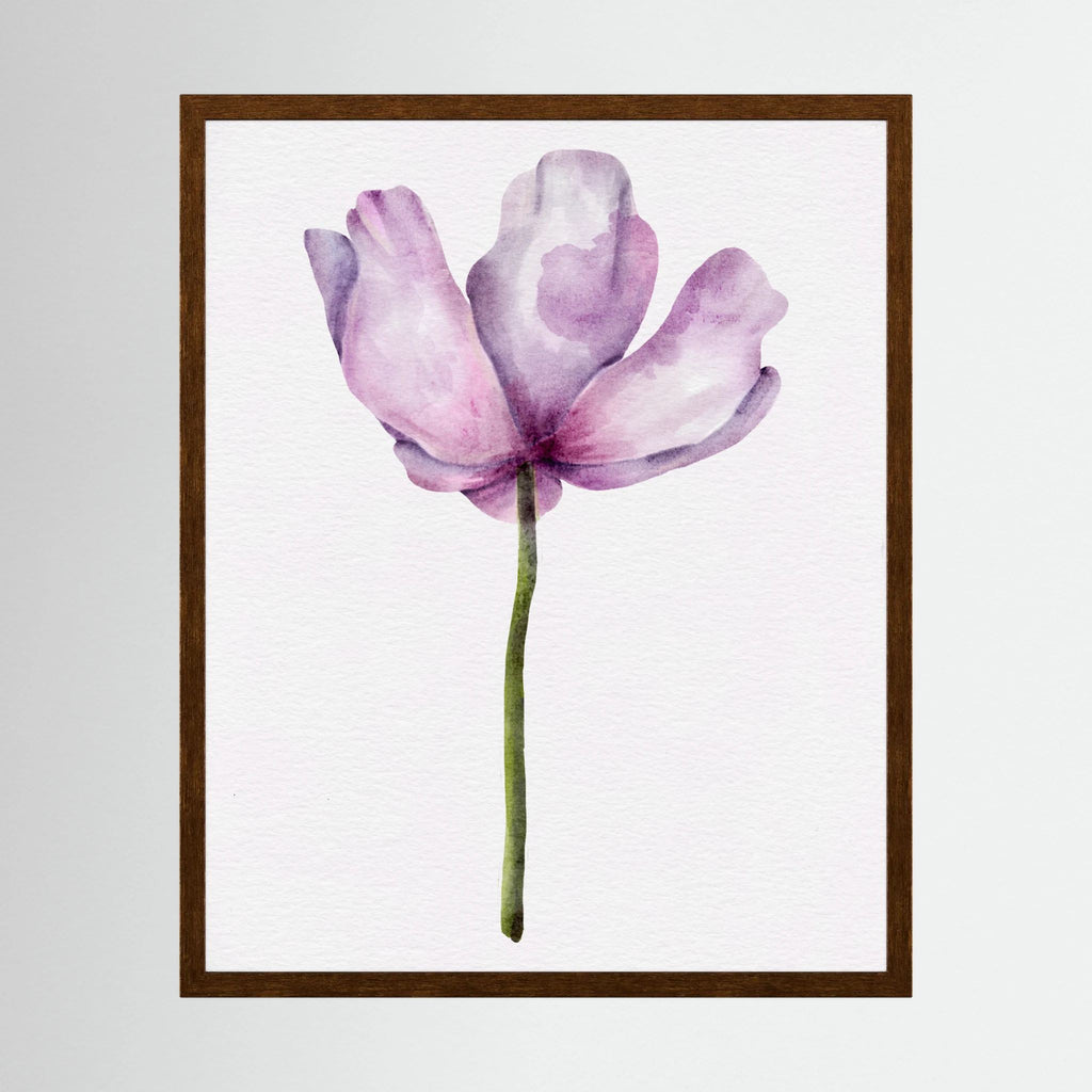 Watercolor Anemone 