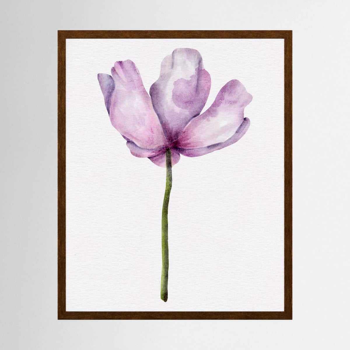 Watercolor Anemone 