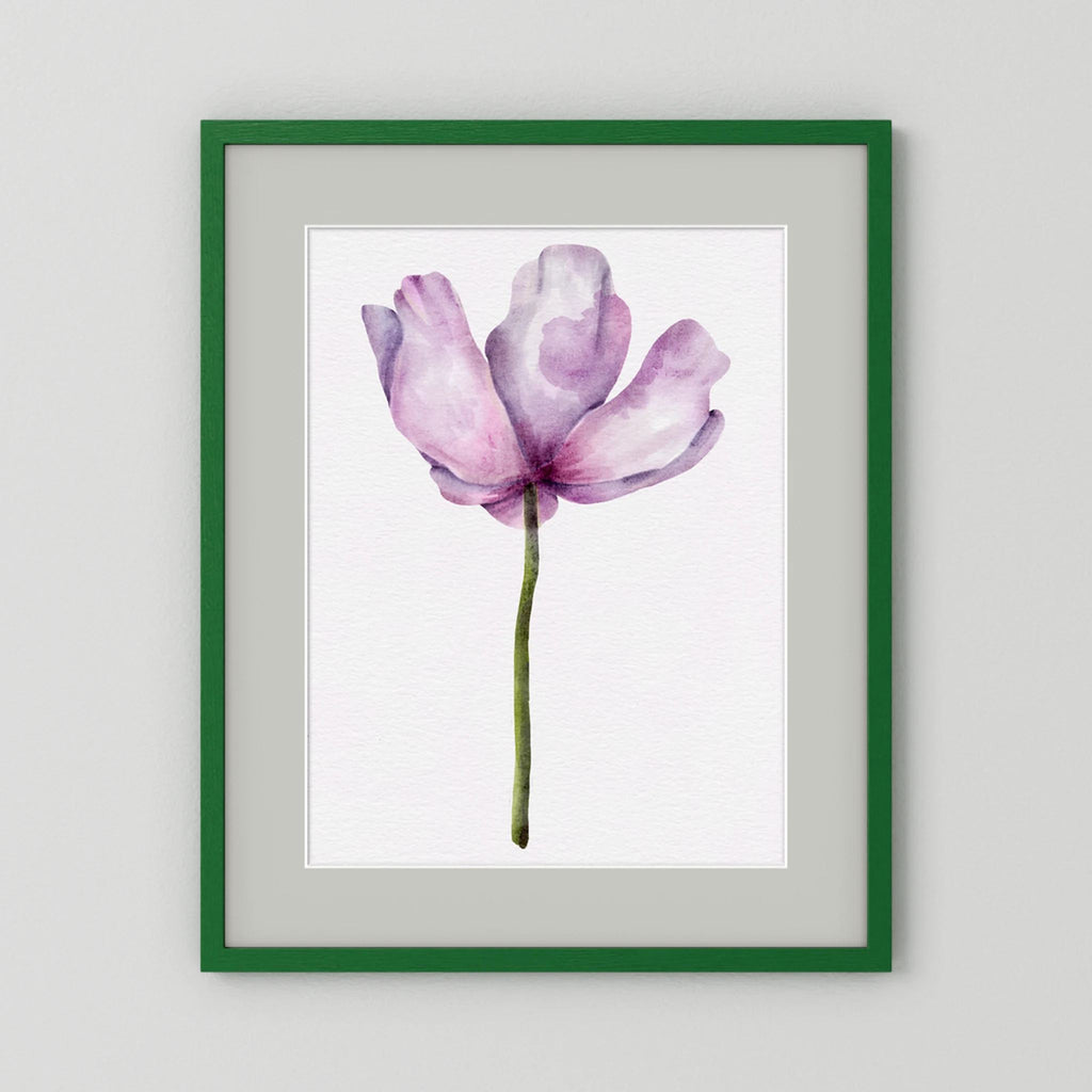 Watercolor Anemone 