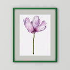 Watercolor Anemone 
