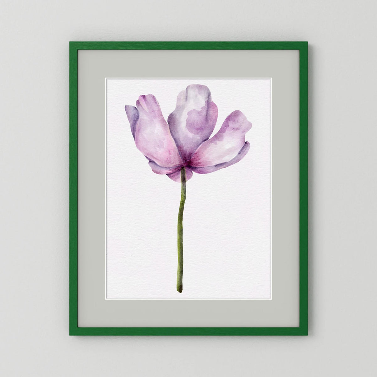 Watercolor Anemone 