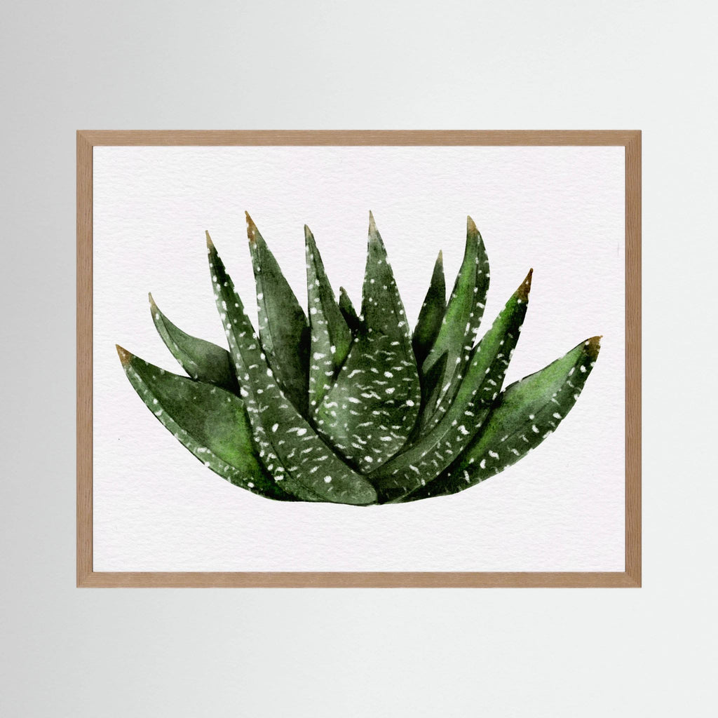 Watercolor Spiky Succulent