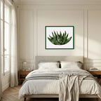 Watercolor Spiky Succulent