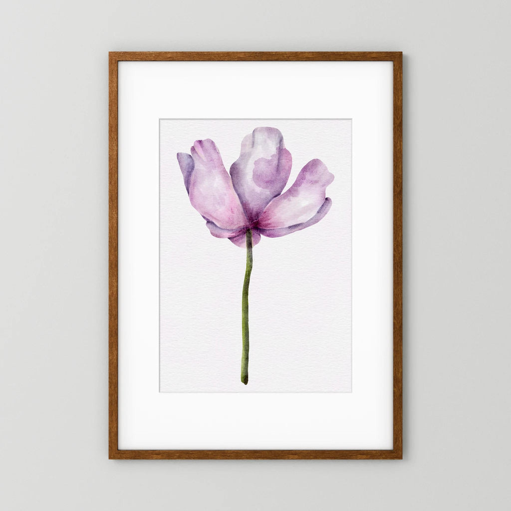 Watercolor Anemone 