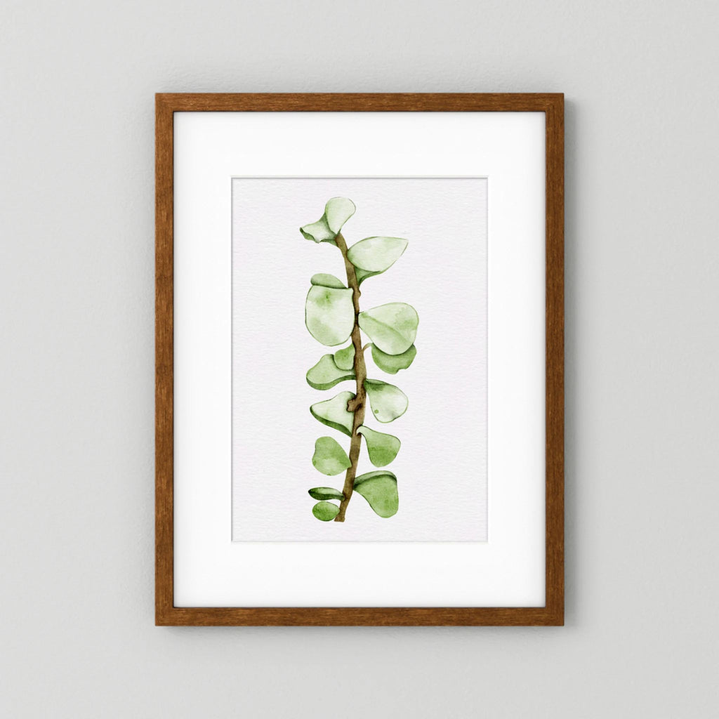 Watercolor Tall Succulent