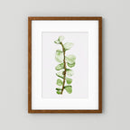 Watercolor Tall Succulent